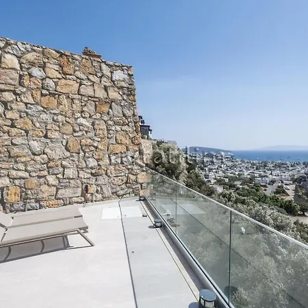 Villa Castle By Evtatilim