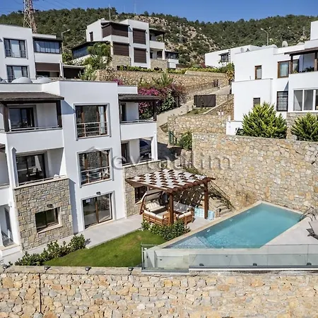 Vilă Castle By Evtatilim