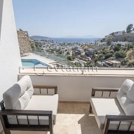 Vilă Castle By Evtatilim *